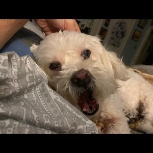 Meet your Posher, Carl